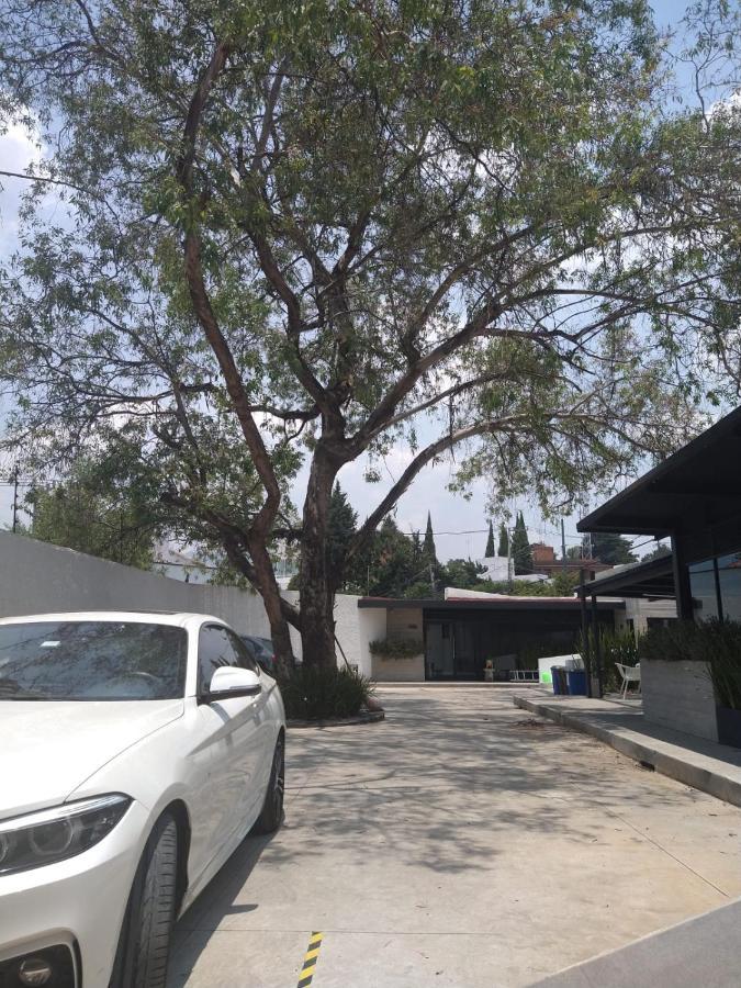 Casa Bonsai Panzió Mexikóváros Kültér fotó